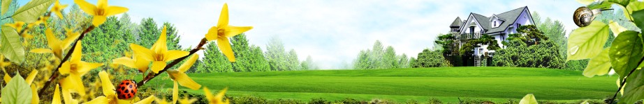 fantasy_home-wide